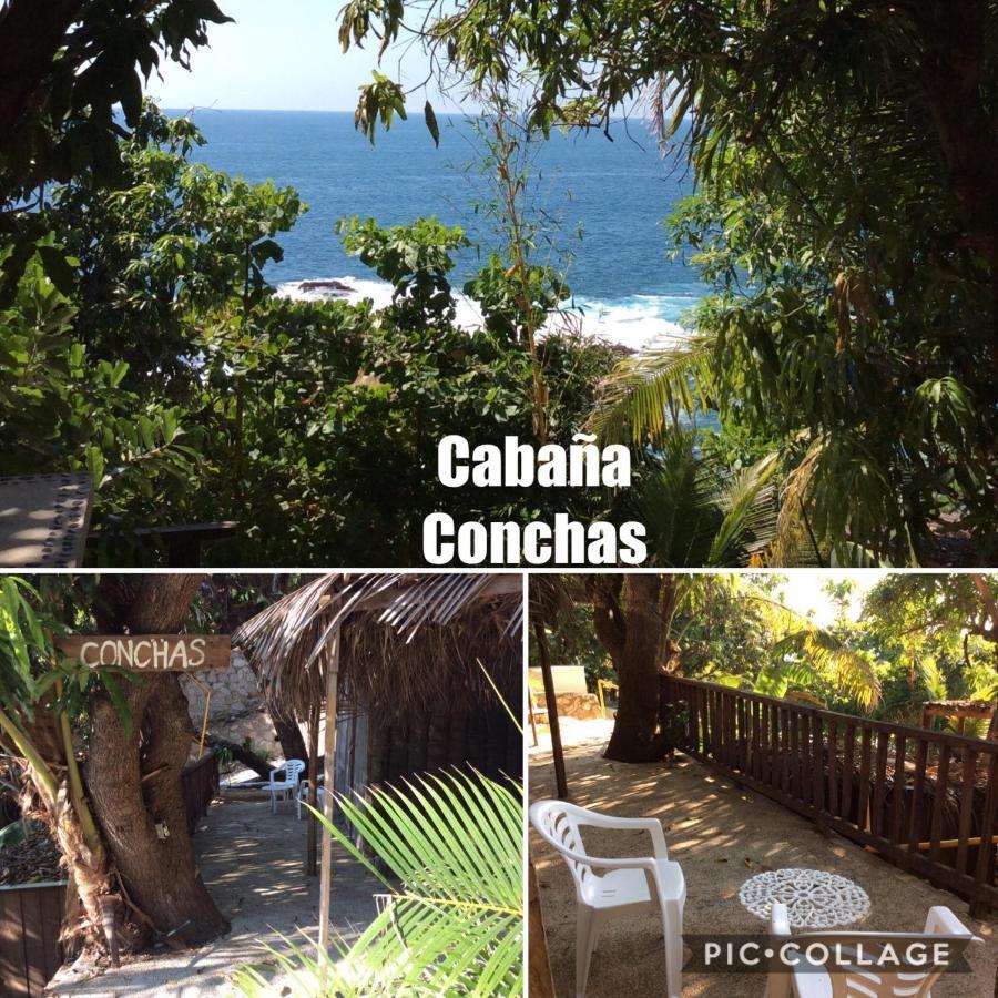Donde Mira El Sol, Promo Primavera Hasta 50 Por Ciento (Adults Only) アカプルコ エクステリア 写真