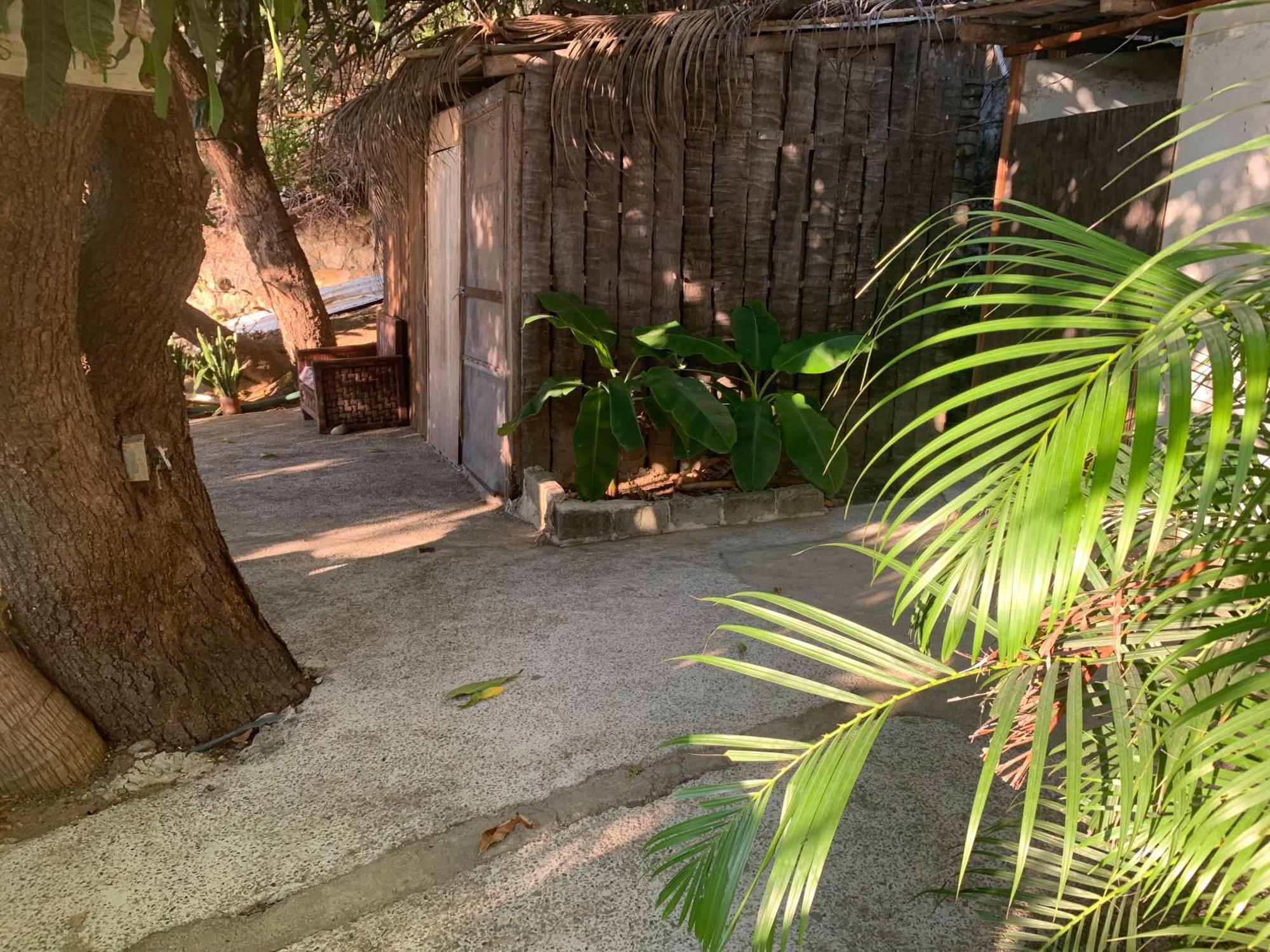 Donde Mira El Sol, Promo Primavera Hasta 50 Por Ciento (Adults Only) アカプルコ エクステリア 写真