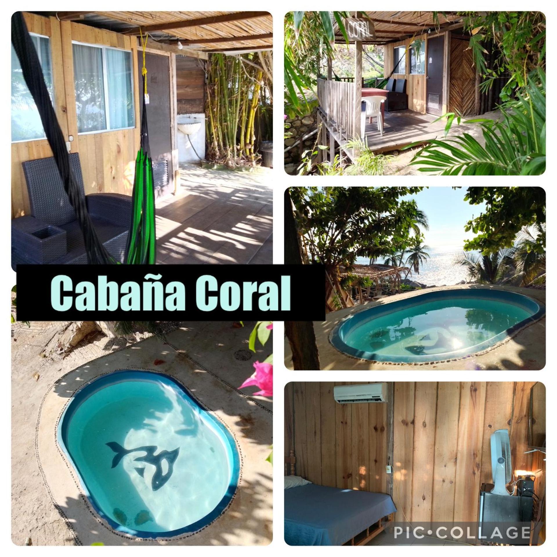 Donde Mira El Sol, Promo Primavera Hasta 50 Por Ciento (Adults Only) アカプルコ エクステリア 写真